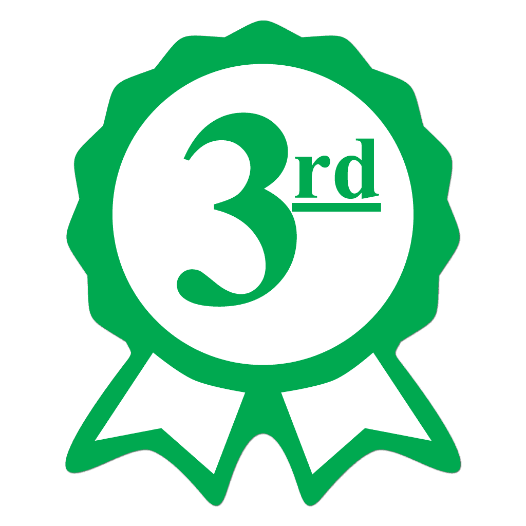 72445 3rd Third Place Green Award Ribbon Stickers