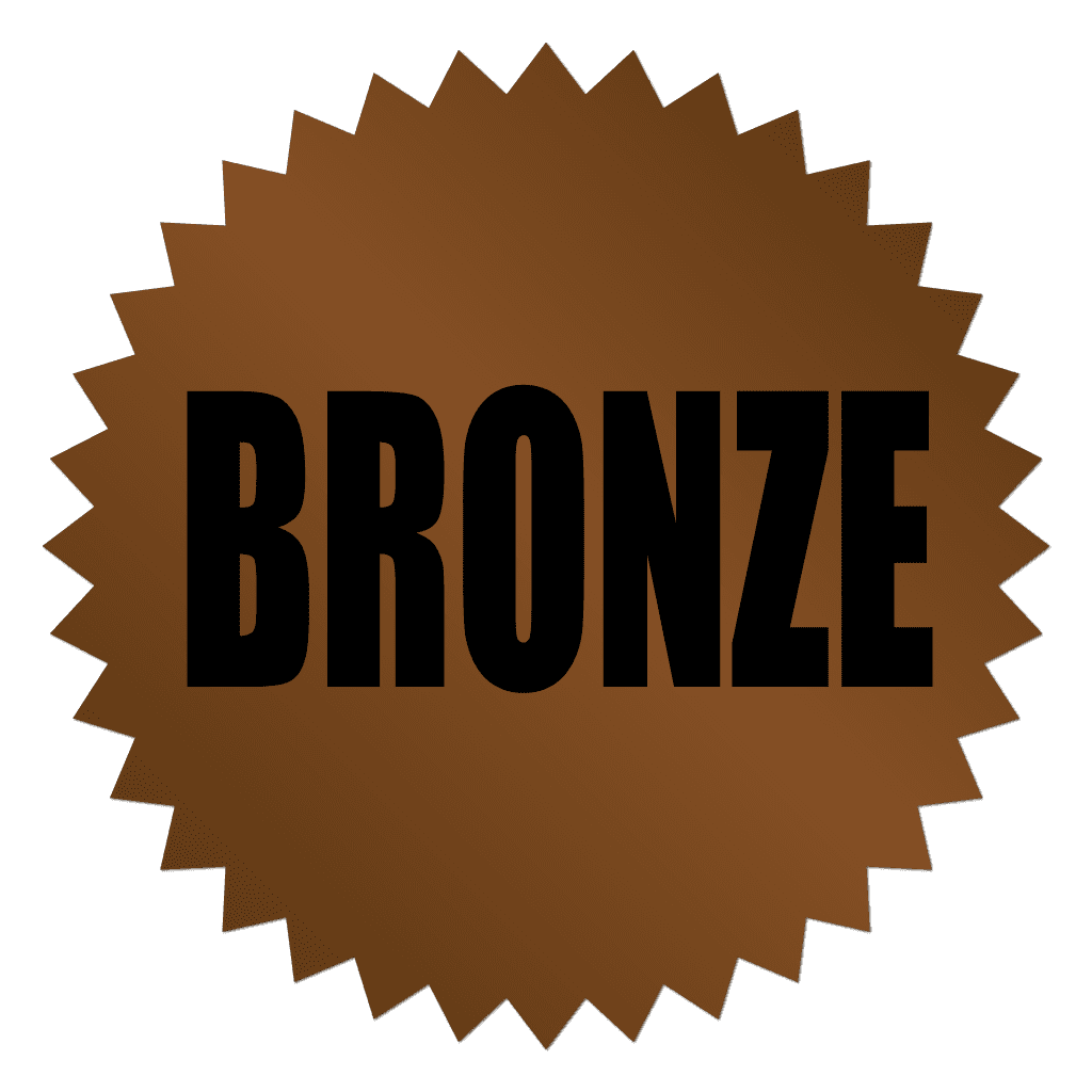 87485 Bronze Champion Award Circle Stickers