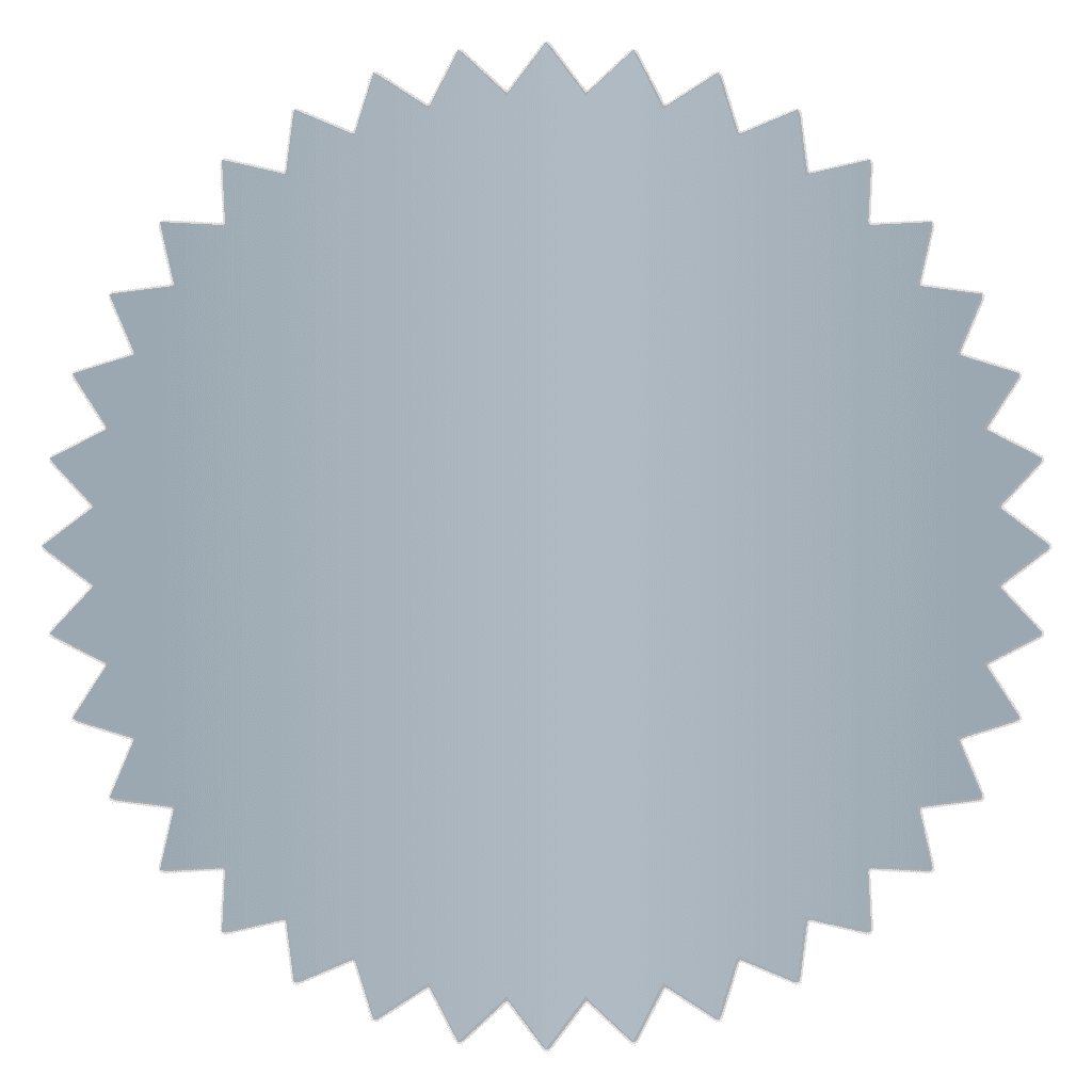 Matte Silver Foil Burst Circle Blank Stickers
